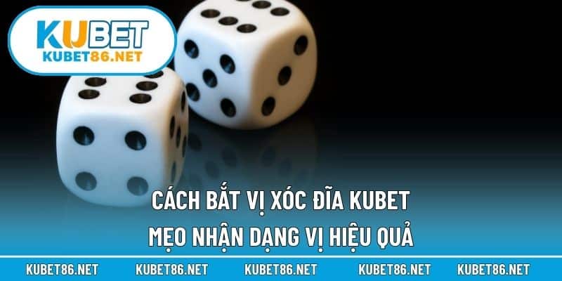 Cách Bắt Vị Xóc Đĩa Kubet – Mẹo Nhận Dạng Vị Hiệu Quả