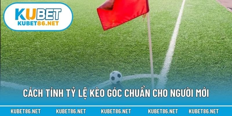 Cách tính tỷ lệ kèo góc chuẩn cho người mới