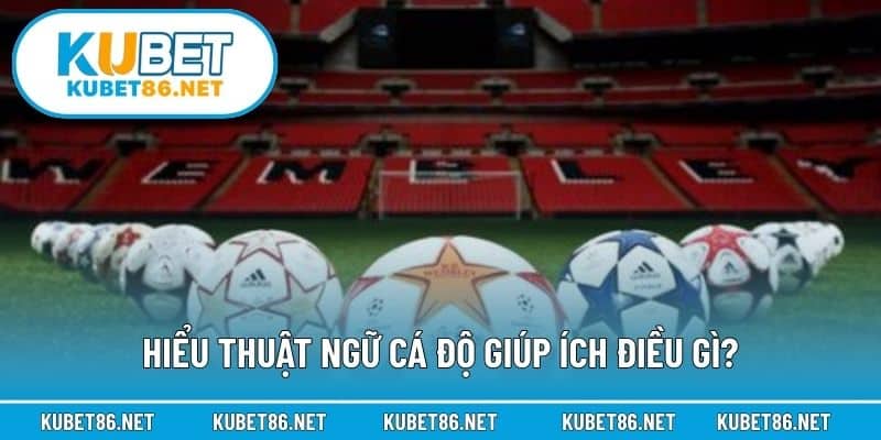 Hiểu thuật ngữ cá độ giúp ích điều gì?