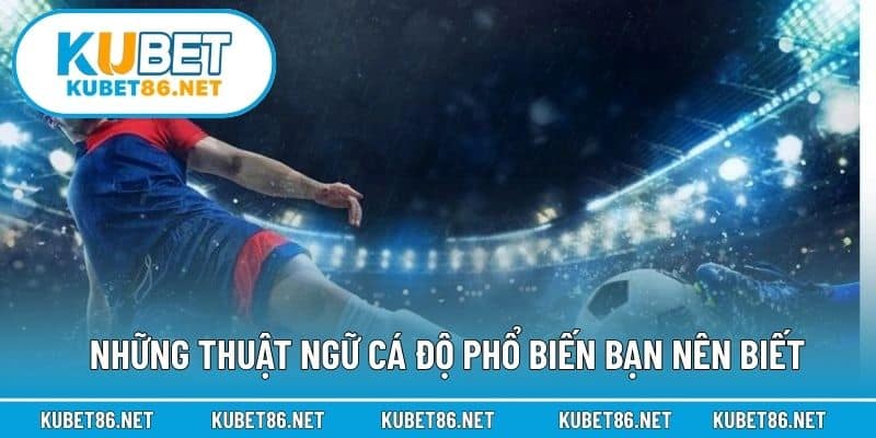 Những thuật ngữ cá độ phổ biến bạn nên biết