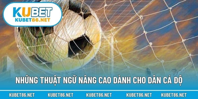 Những thuật ngữ nâng cao dành cho dân cá độ